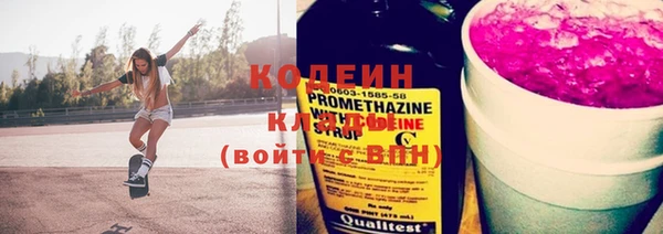 крисы Верхний Тагил