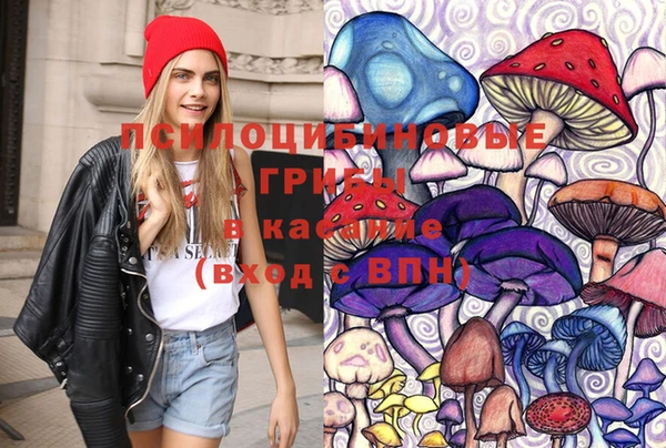 спиды Верея