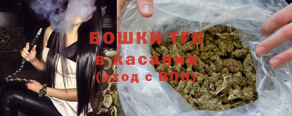 крисы Верхний Тагил