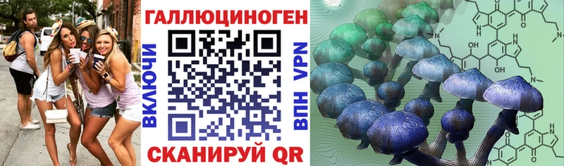 Галлюциногенные грибы Psilocybe  как найти   Цимлянск 